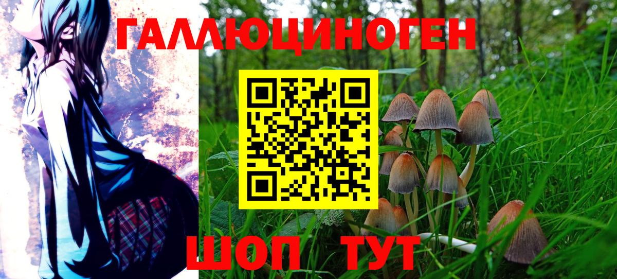 Псилоцибиновые грибы Magic Shrooms  Вход с VPN  Новый Уренгой 